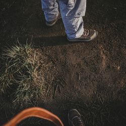 Low section of man standing on grass