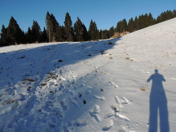 Scenic view of snow covered field against sky