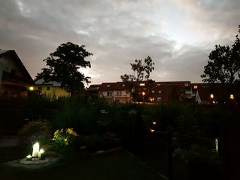 Illuminated trees and buildings against sky at night