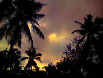 Low angle view of silhouette palm trees against romantic sky