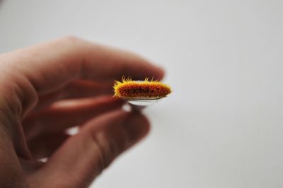 Cropped hand of person holding paintbrush against white background