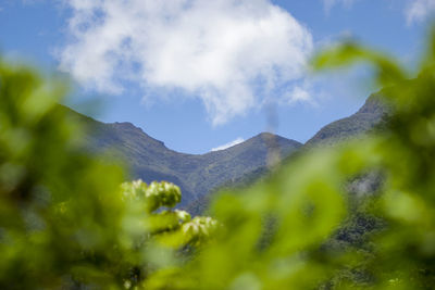 Low angle view of green mountain against sky