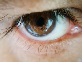 Extreme close-up portrait of iris eye