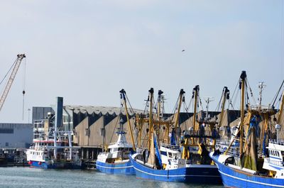 Sailboats moored at harbor against sky