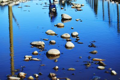 Scenic view of lake