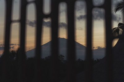 Silhouette trees against sky seen through window