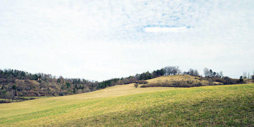 Scenic view of field against sky