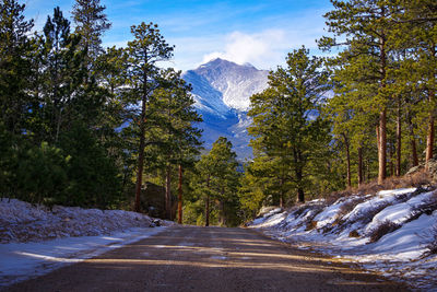 Road amidst trees and snowcapped mountains against sky