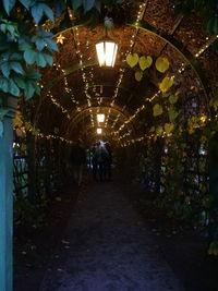 Rear view of people walking on illuminated footpath at night