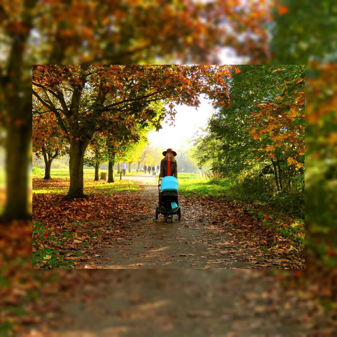 tree, autumn, full length, lifestyles, rear view, leisure activity, walking, change, season, selective focus, the way forward, leaf, casual clothing, park - man made space, nature, growth, footpath, childhood