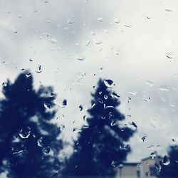 Close-up of water drops on glass