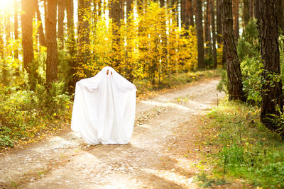 Rear view of woman standing in forest