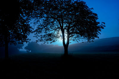 Silhouette tree on field against sky at night