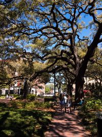Woman amidst trees against sky