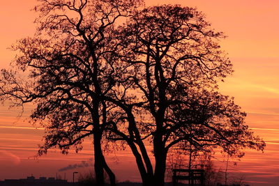 Silhouette tree against sea during sunset