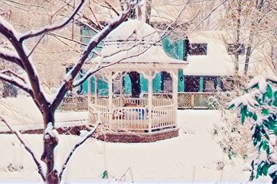 Trees in front of building