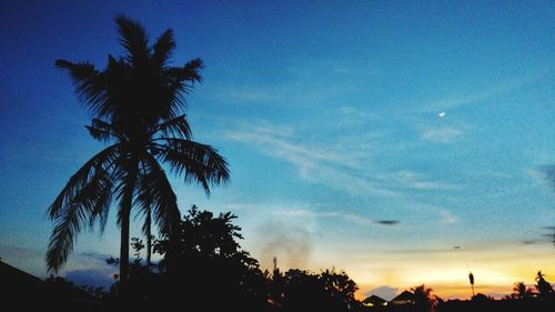 Silhouette palm trees against sky during sunset