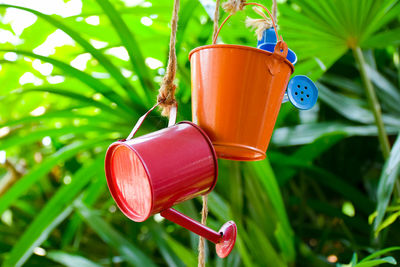 Close-up of drink on plant