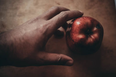 Close-up of hand holding apple