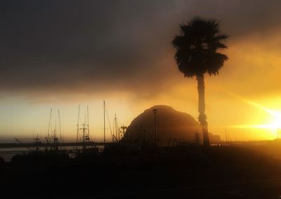 Silhouette palm trees against sky during sunset