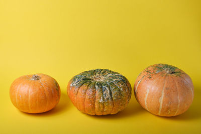 Close-up of pumpkins against orange background