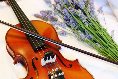 Close-up of violin and flowers on white background