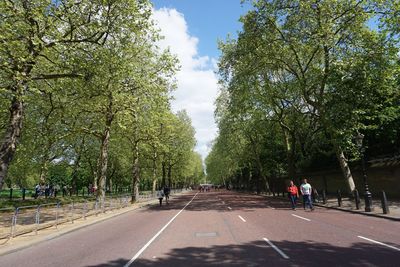 People walking on road amidst trees against sky