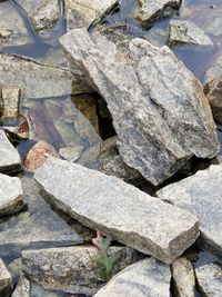 High angle view of stones