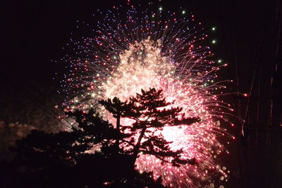 Low angle view of firework display at night