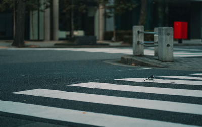 Zebra crossing on road in city
