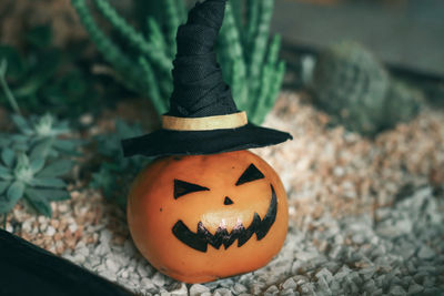 Close-up of pumpkin on wood during halloween