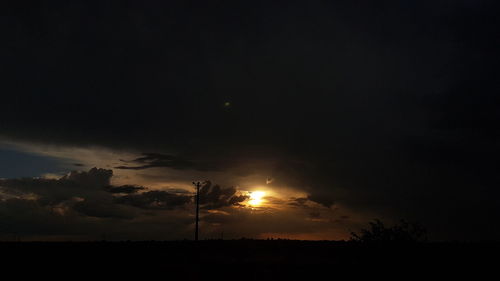 Silhouette trees against sky at night