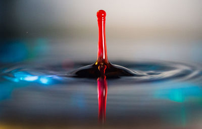 Close-up of red water