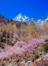 Scenic view of mountains against clear blue sky