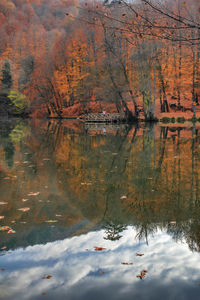 Reflection of trees in lake against sky