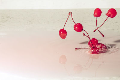 Close-up of cherries in shallow water