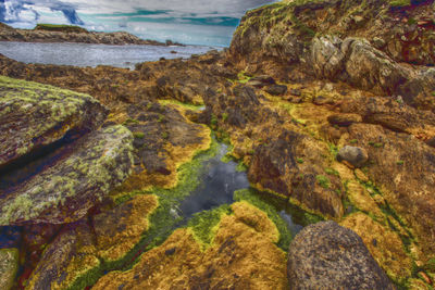 Rocks on beach