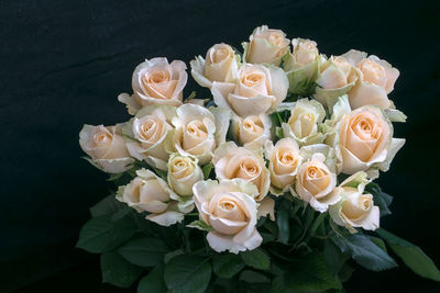 High angle view of rose bouquet against black background