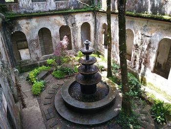 Plants in front of historic building