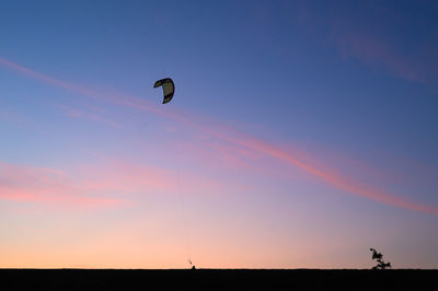 Kite in the sunset sky