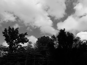 Low angle view of trees against sky