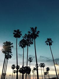 Low angle view of silhouette palm trees against sky