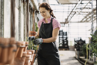 Woman checking leaves growing on potted plant in greenhouse