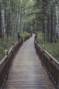 Wooden footbridge amidst trees in forest