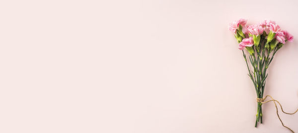 Close-up of pink flower vase against white background