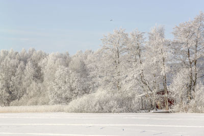 Snow covered field against sky