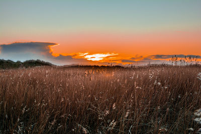 Scenic view of landscape at sunset