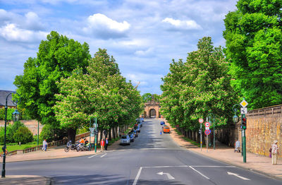 Empty road along trees and plants in city