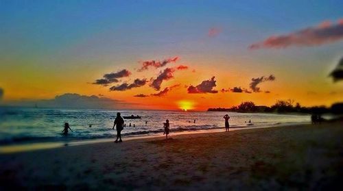 Silhouette of people at beach during sunset