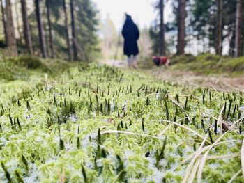 Rear view of woman standing on field